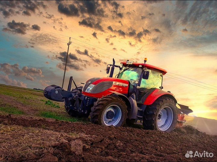 Чеснок сотовой.Озимый чeснок