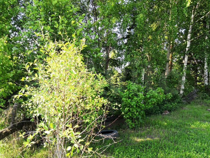 Дом 56 м² на участке 8 сот.