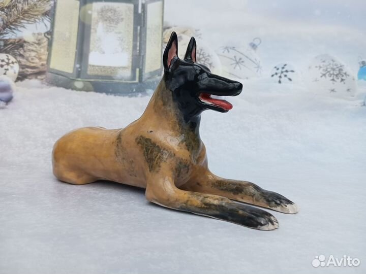 Собака