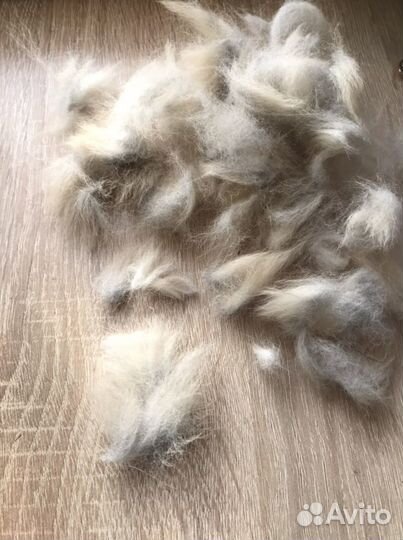 Вычес Шерсти Акиты американской (собака)