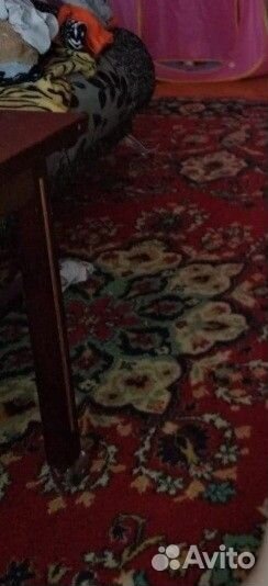 Ковер шерстяной СССР