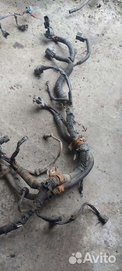 Проводка двигателя на Honda inspire