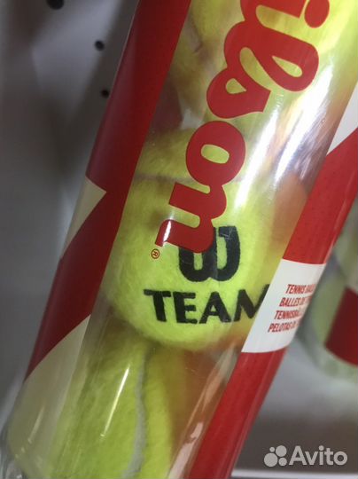 Теннисные мячи Wilson Team коробка 72 шт