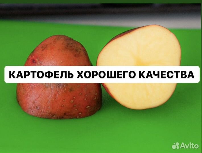 Едовой картофель