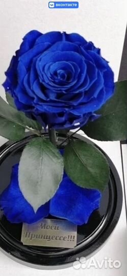 Роза в колбе