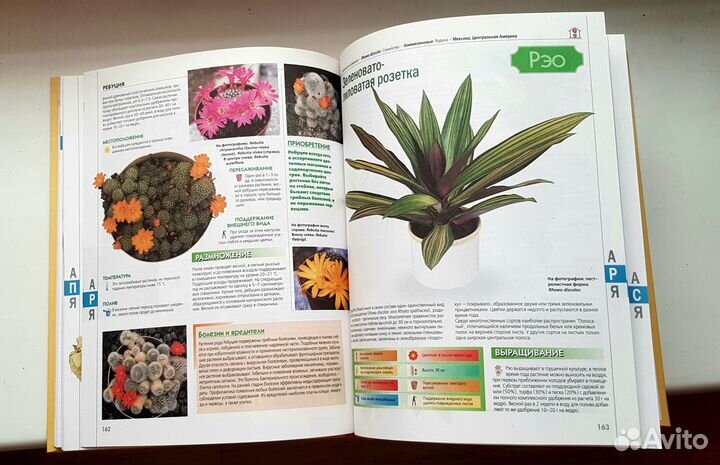 Книга Комнатные растения