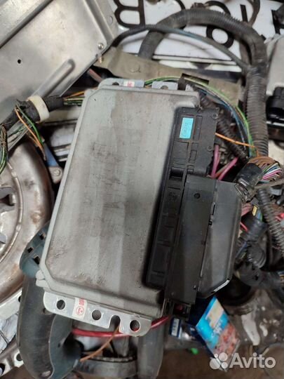 Мозги январь на классику эбу