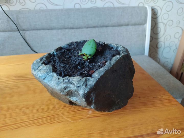 Горшок из натурального камня