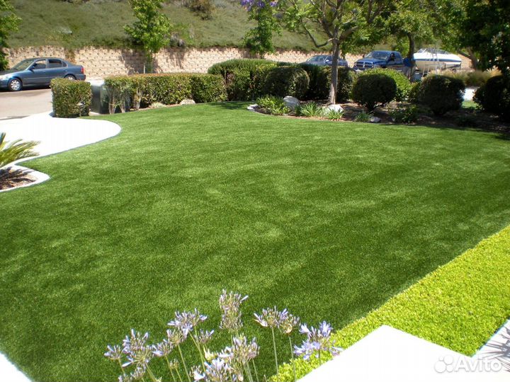 Газон рулонный мятлик