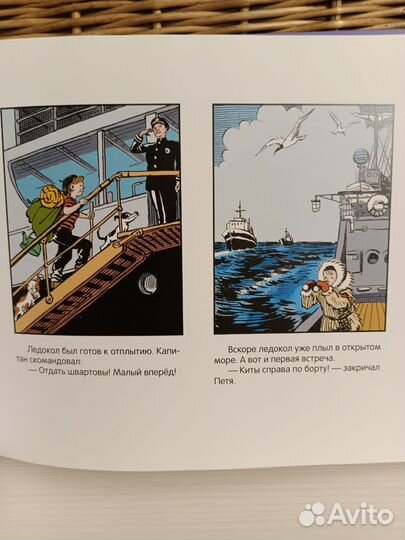 Необыкновенные приключения Пети Рыжика Мелик- Паш