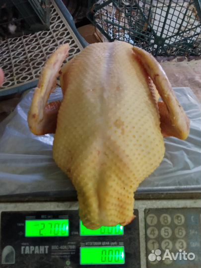 Утка резаная оптом