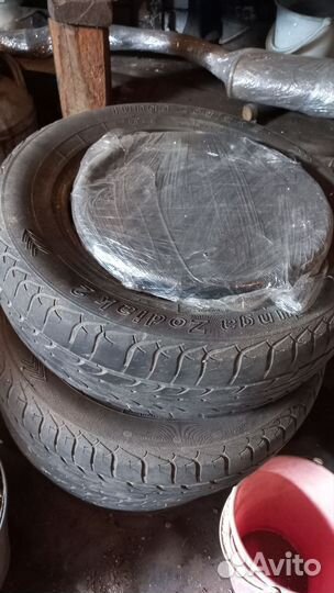Tunga Zodiak 5/5 R14C 23H