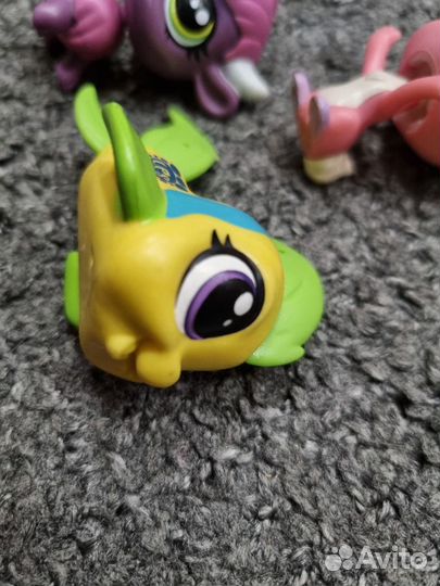 Littlest pet shop