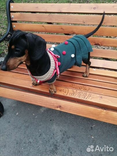 Вязка для мальчика