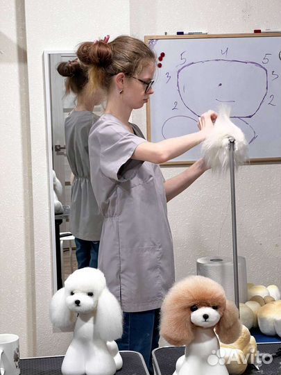 Курс Груминг с нуля Обучение стрижки собак и кошек