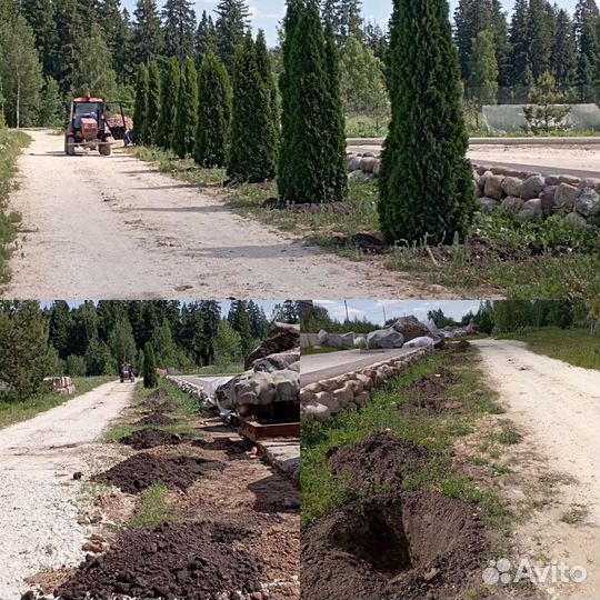 Услуги пересадчика крупномерных деревьев