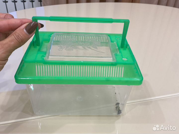 Контейнер для рыбок