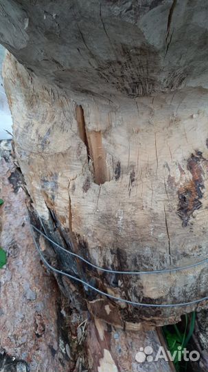 Заготовка для стола