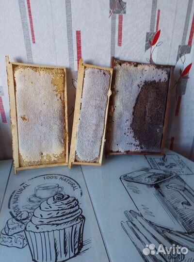 Продам улики цена договорная