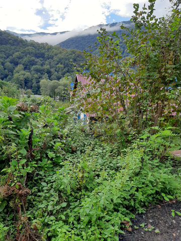 Участок 15,5 сот. (ИЖС)