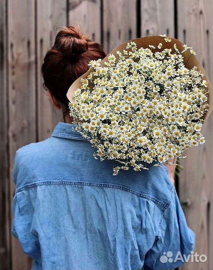 Ромашки Букет из ромашек доставка