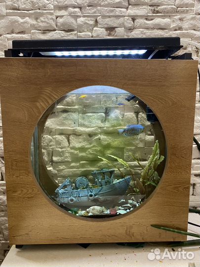 Аквариум aquatlantis