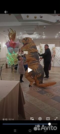 Костюм надувной Динозавр, Горилла, Лягушка и др