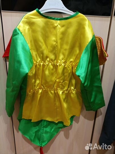 Замечательный костюм Дракона