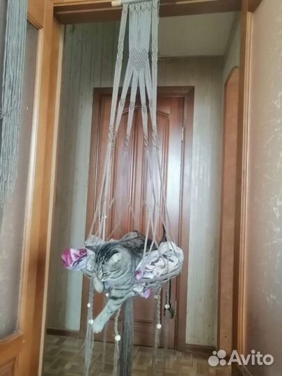 Лежанка для кошки (Гамак)