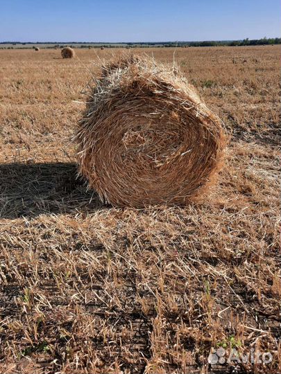 Солом в рулонах