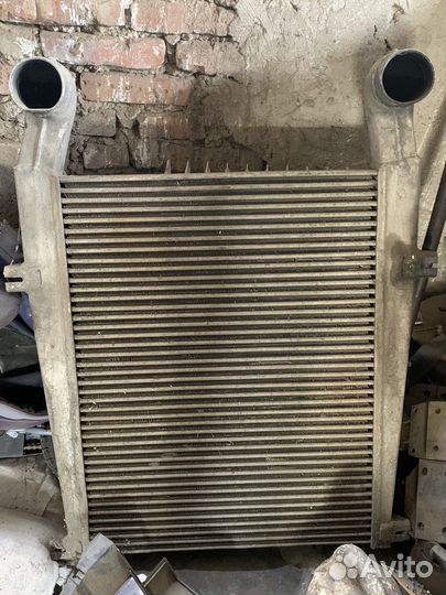 Интеркуллер маз