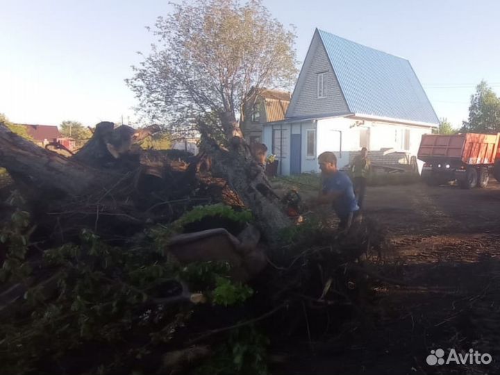 Уборка расчистка участка, спил дерева