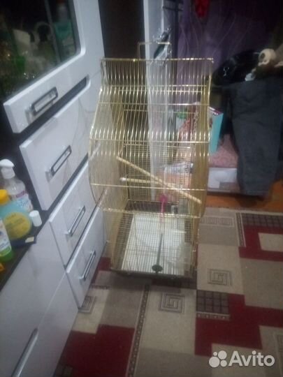 Большая клетка для птиц