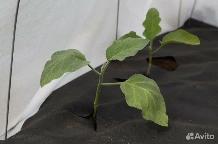 Агротекс 60г/кв.м чёрный (1 пог. м)