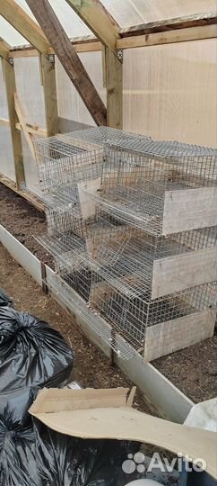 Клетки для перепелов бу