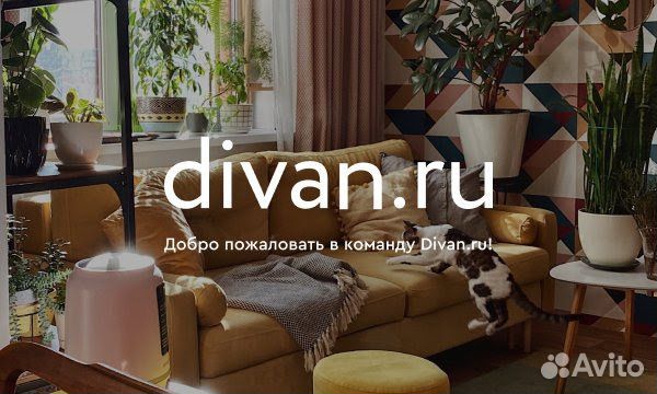 Продавец консультант