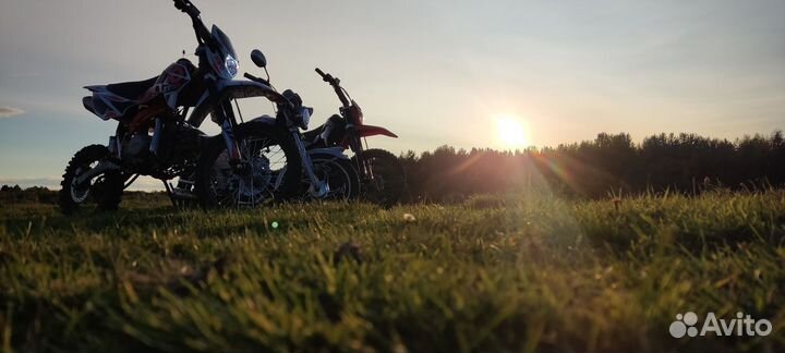 Regulmoto seven medalist pro 19 16