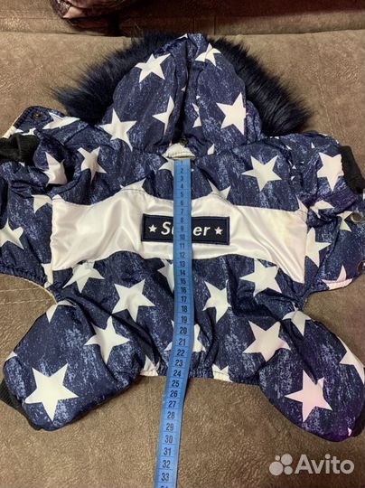 Одежда для собак