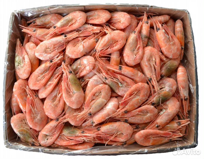 Креветки лангустины