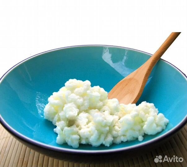 Засушенный гриб