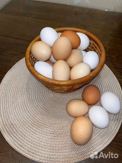 Домашние деревенские куриные яйца