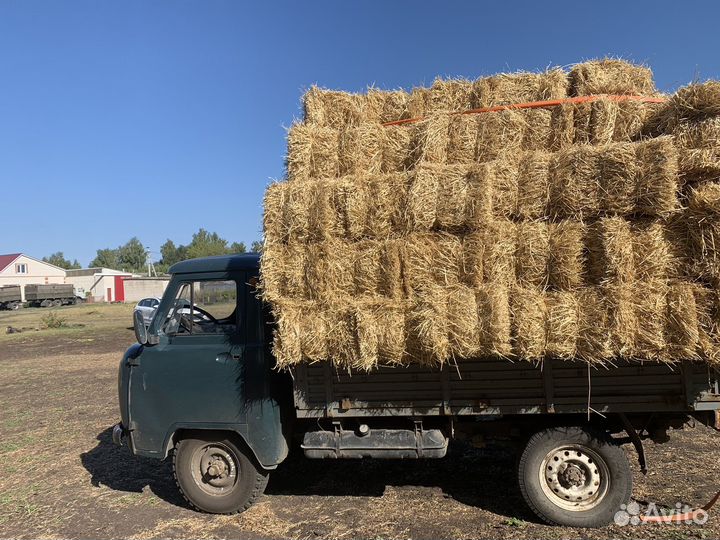 Солома в тюках