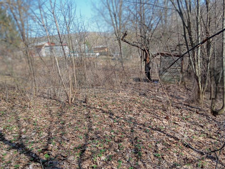 Участок 6,8 сот. (СНТ, ДНП)