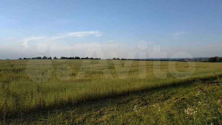 Участок 20 сот. (ИЖС)