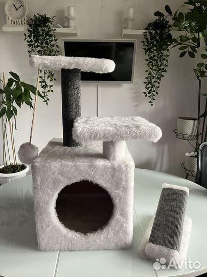 Когтеточка