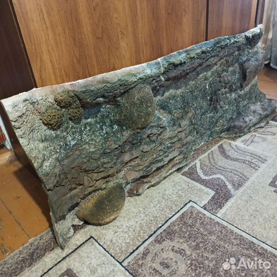 3D фон для аквариума