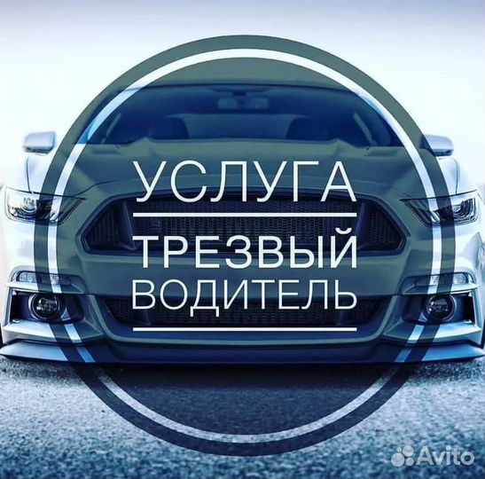 Трезвый водитель
