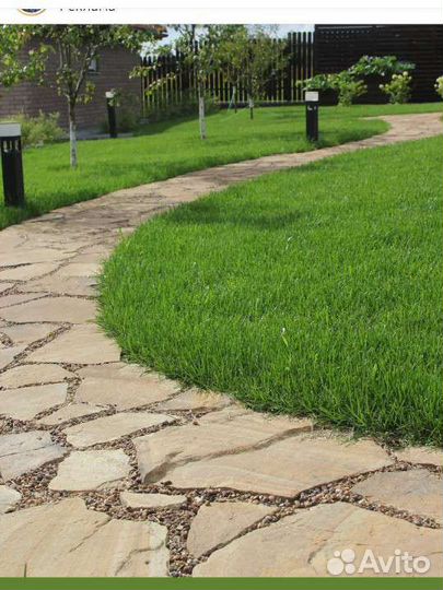 Рулонный газон