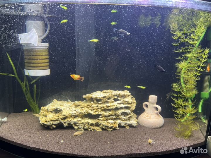 Аквариум 60 л