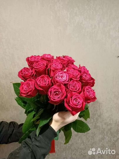 15 свежих роз. Голландская роза оптом